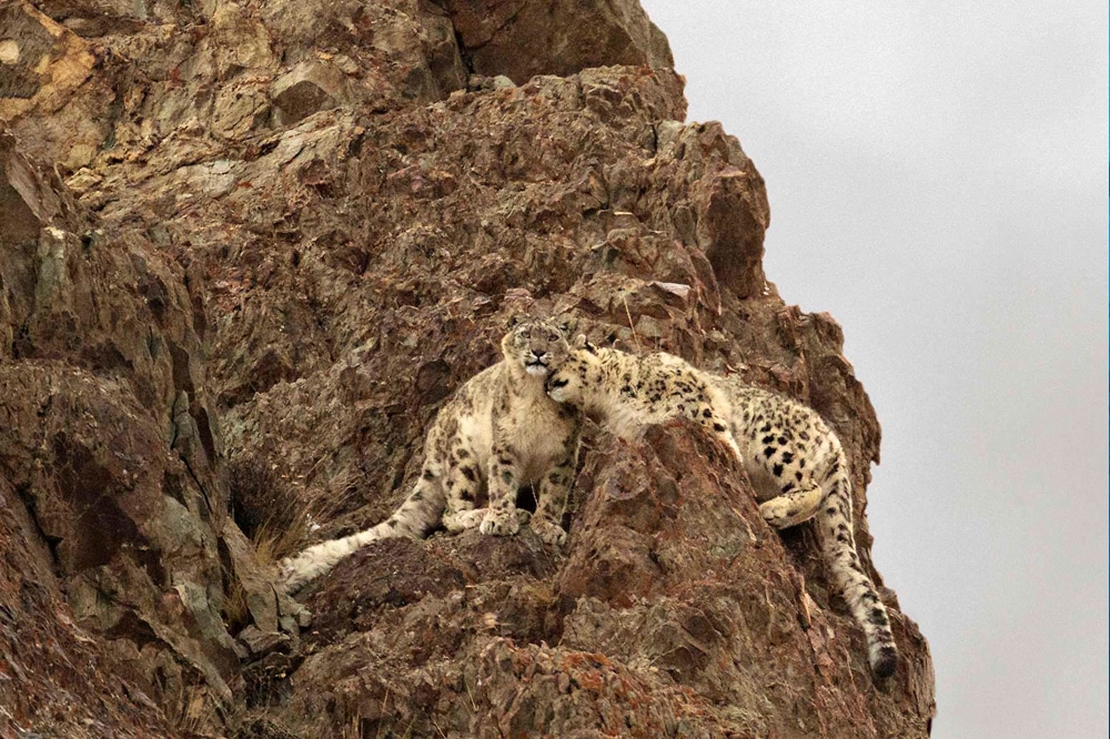 snowleopard expeditions map