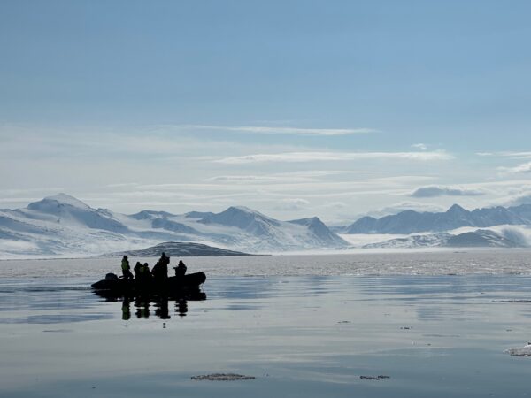 Polar Bears — Svalbard Cruise - Image 17