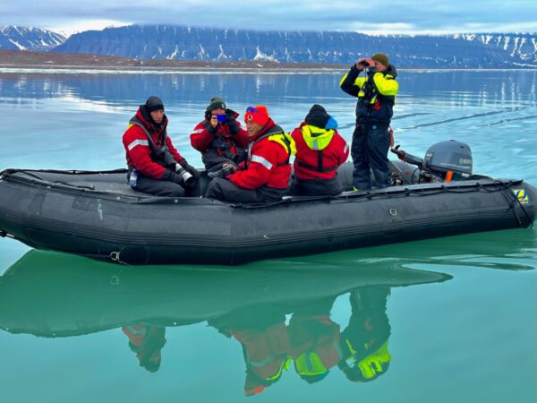 Polar Bears — Svalbard Cruise - Image 14