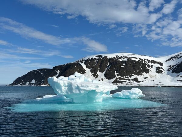 Polar Bears — Svalbard Cruise - Image 13