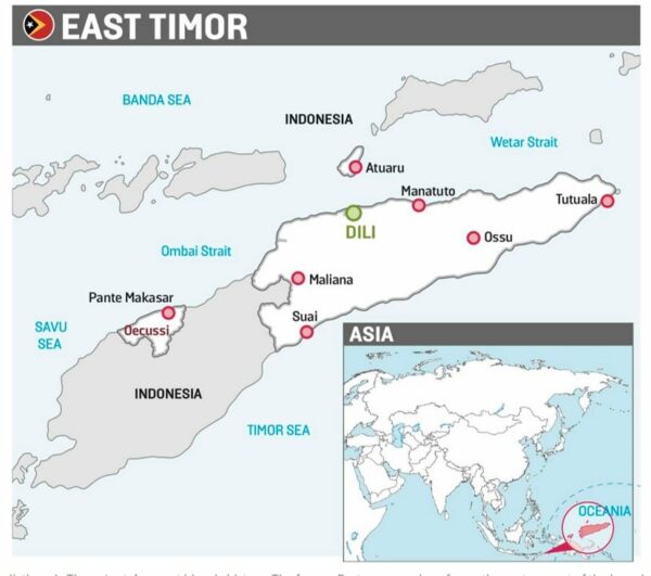 Blue Whales in Timor Leste - Experience Big Animals